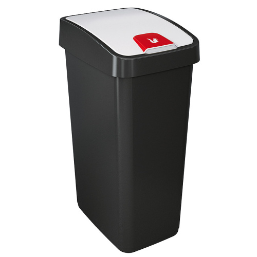 Abfallbehälter mit zweifacher Kippöffnung 45 l. graphit